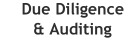 Technical Due Diligence and Auditing